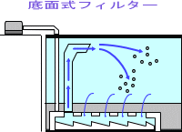 底面式フィルター